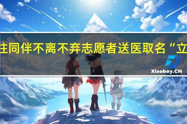 小狗被撞断脊柱同伴不离不弃 志愿者送医取名“立冬” 到底什么情况呢