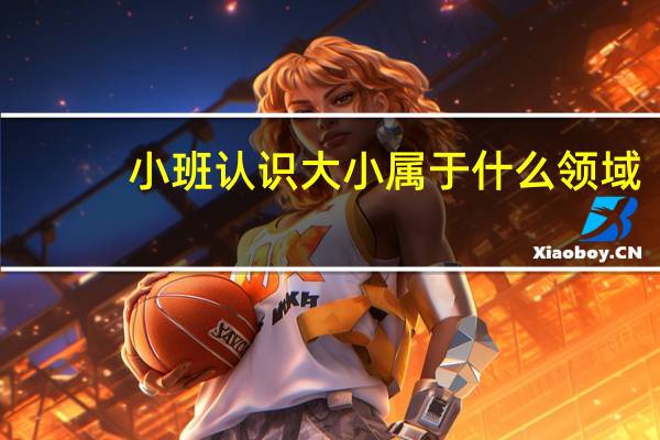 小班认识大小属于什么领域
