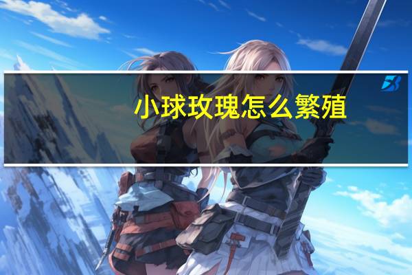 小球玫瑰怎么繁殖