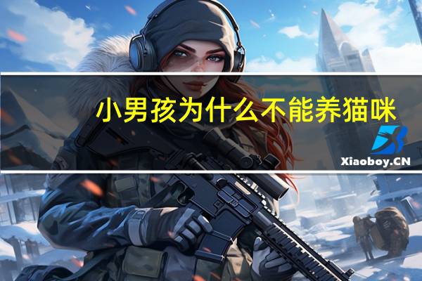 小男孩为什么不能养猫咪