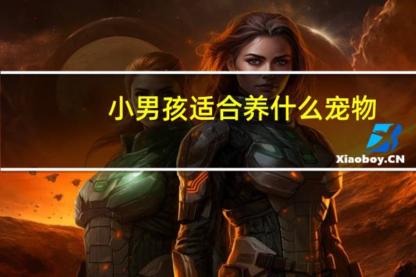 小男孩适合养什么宠物
