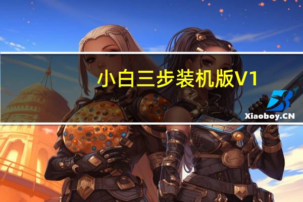 小白三步装机版 V1.0.0.06 官方版(小白三步装机版 V1.0.0.06 官方版功能简介)