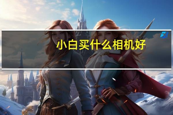 小白买什么相机好（买什么相机好）
