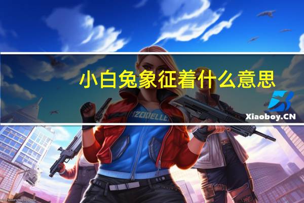 小白兔象征着什么意思