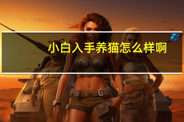 小白入手养猫怎么样啊
