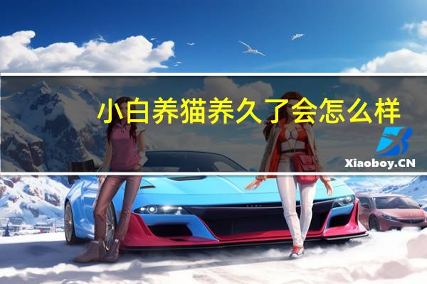 小白养猫养久了会怎么样