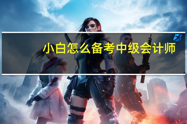 小白怎么备考中级会计师