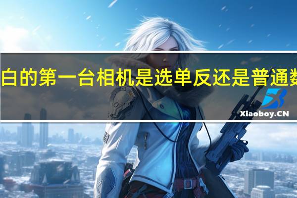 小白的第一台相机是选单反还是普通数码相机