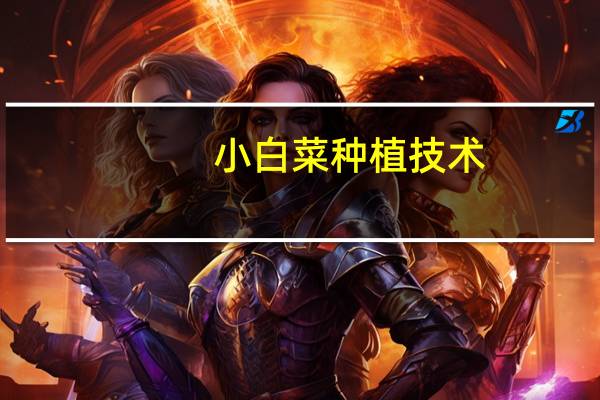 小白菜种植技术:喜温暖、湿润环境