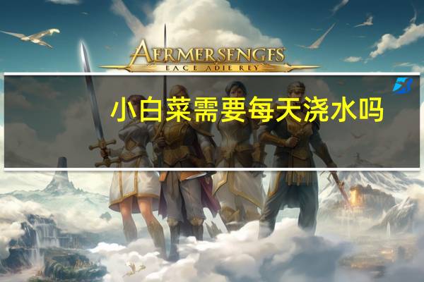 小白菜需要每天浇水吗
