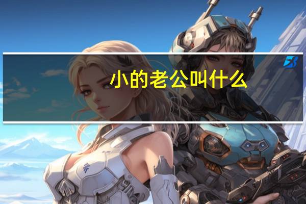 小的老公叫什么(是不是老公的小sb)