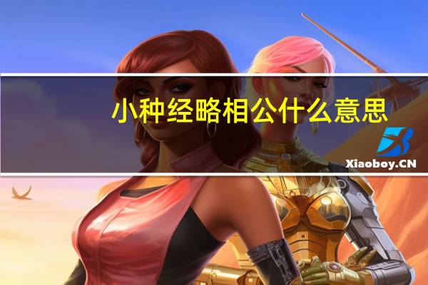 小种经略相公什么意思