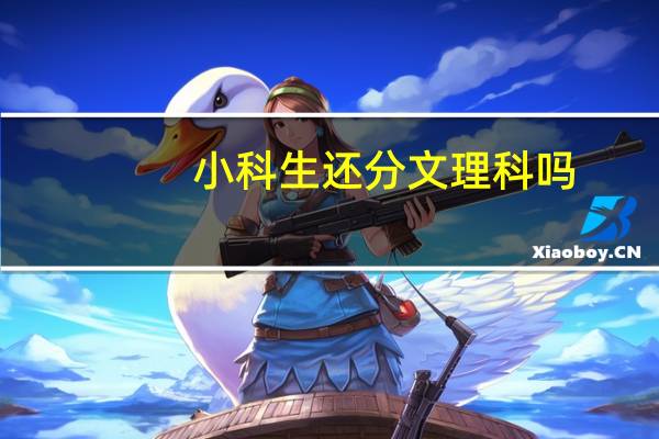 小科生还分文理科吗