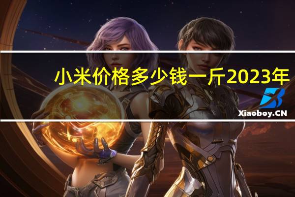 小米价格多少钱一斤2023年（小米3价格多少）