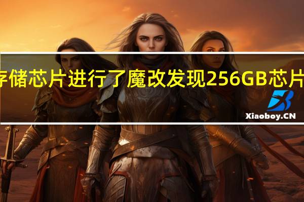 小米团队对存储芯片进行了魔改发现256GB芯片真的可以找回8GB