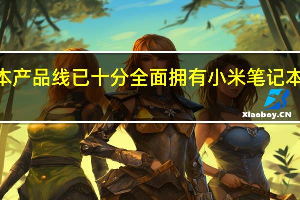 小米在国内的笔记本产品线已十分全面拥有小米笔记本和RedmiBook两大体系