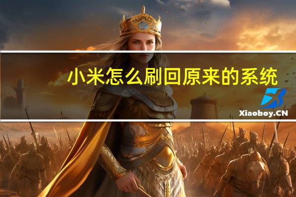 小米怎么刷回原来的系统（小米怎么刷机）