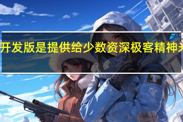 小米提到开发版是提供给少数资深极客精神米粉的测试版本