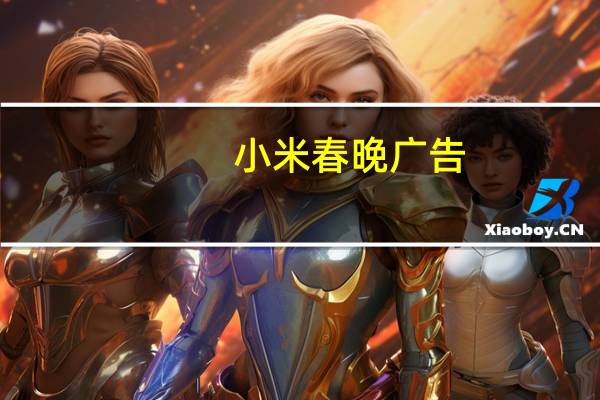 小米春晚广告（小米手机的春晚广告在那几个时段播放,那个节目之后,）