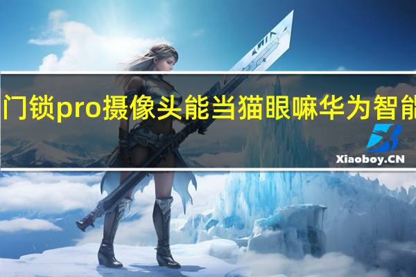 小米智能门锁pro摄像头能当猫眼嘛 华为智能门锁se猫眼版