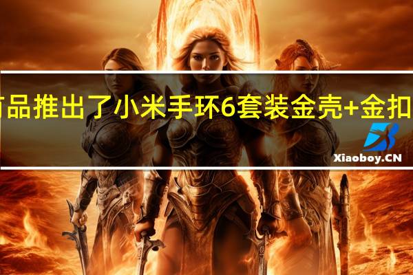 小米有品推出了小米手环6套装金壳+金扣售价2999元