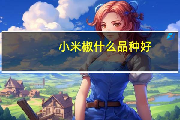 小米椒什么品种好