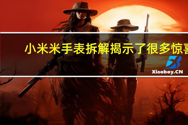 小米米手表拆解揭示了很多惊喜