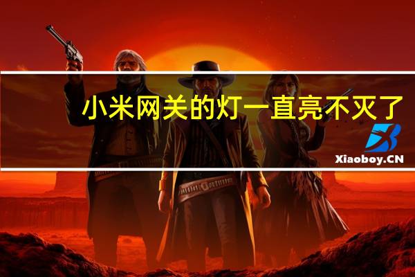小米网关的灯一直亮不灭了（小米网关的灯不灭）