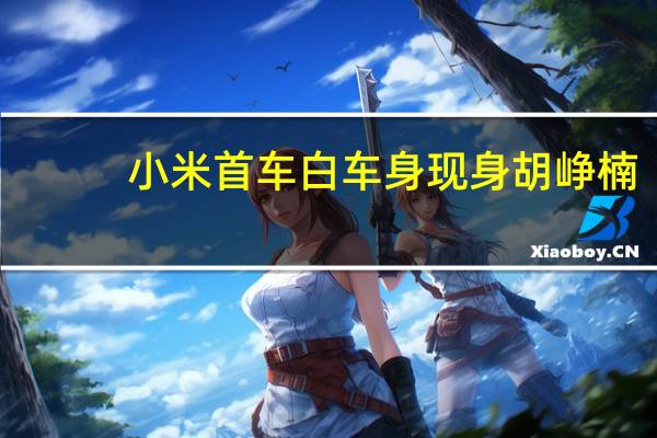 小米首车白车身现身 胡峥楠:脑壳生痛、要不也直接开卖吧