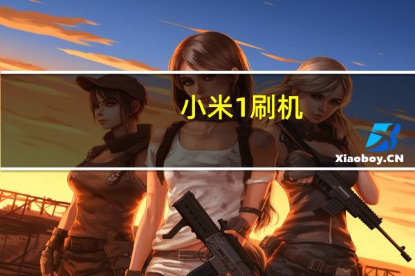小米1刷机（小米手机如何刷机）