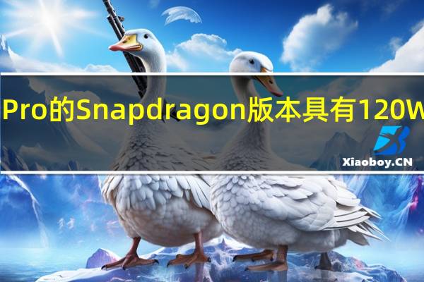 小米 12S Pro 的 Snapdragon 版本具有 120W 快速充电功能