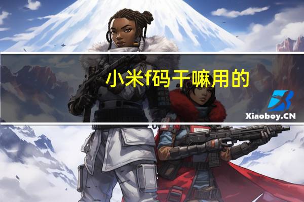 小米f码干嘛用的（小米f码有什么用）
