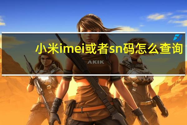 小米imei或者sn码怎么查询（小米imei和sn码查询）