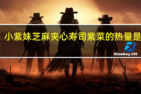 小紫妹 芝麻夹心寿司紫菜的热量是多少