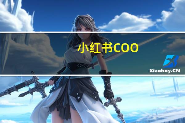 小红书COO：未来将邀请买手、主理、商家等构建电商生态