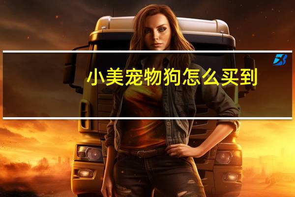 小美宠物狗怎么买到
