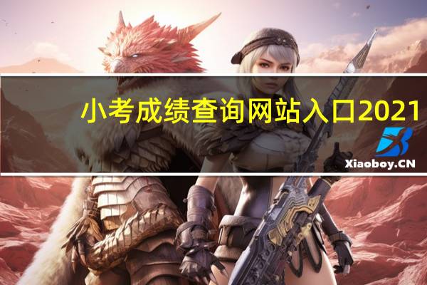 小考成绩查询网站入口2021（小考成绩查询网站）