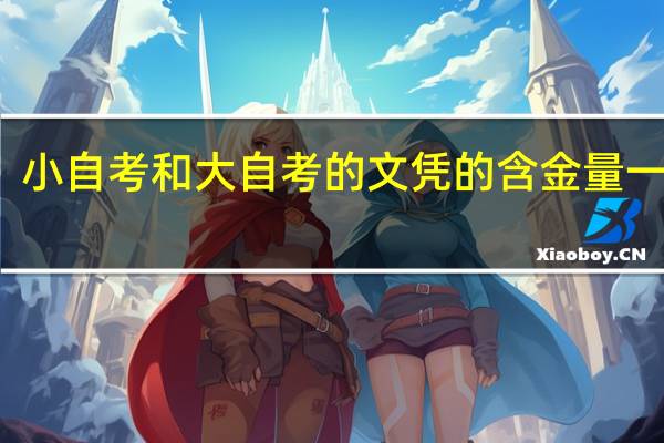 小自考和大自考的文凭的含金量一样吗
