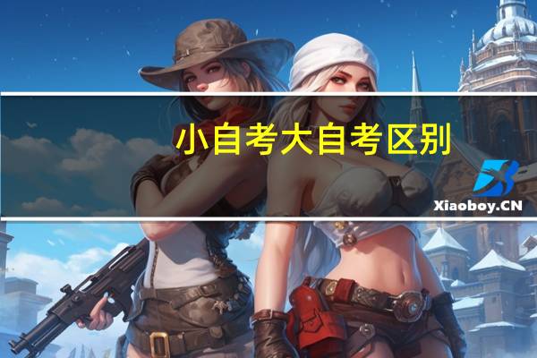 小自考大自考区别