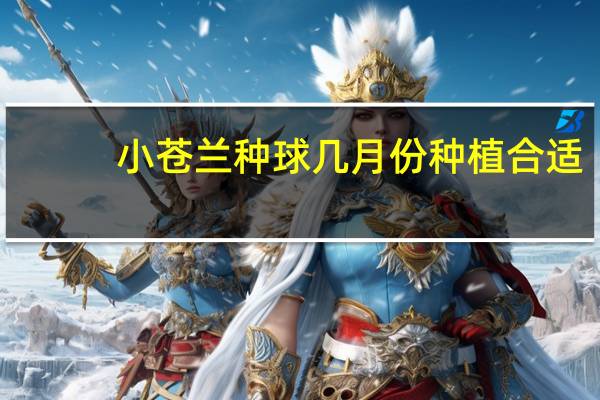 小苍兰种球几月份种植合适