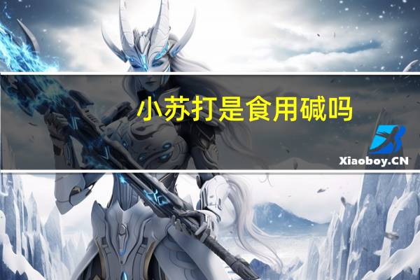 小苏打是食用碱吗