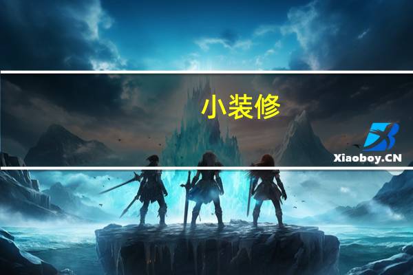 小装修（小装）