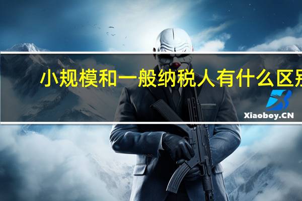 小规模和一般纳税人有什么区别