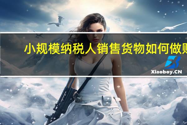 小规模纳税人销售货物如何做账
