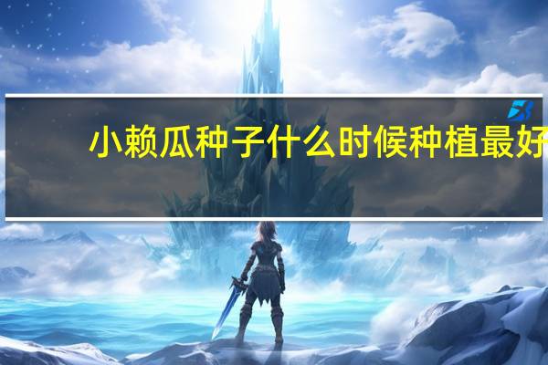小赖瓜种子什么时候种植最好