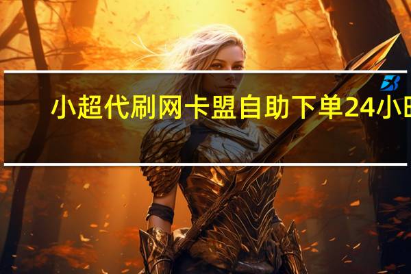 小超代刷网 卡盟自助下单24小时(小超人卡盟)