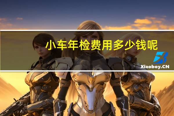 小车年检费用多少钱呢（小车年检费用）