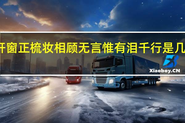 小轩窗正梳妆相顾无言惟有泪千行是几年级学的