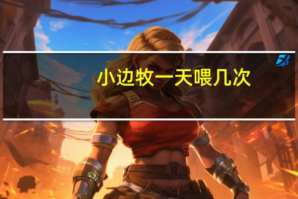 小边牧一天喂几次