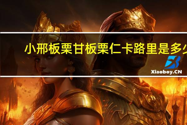 小邢板栗 甘板栗仁卡路里是多少